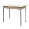Стол Айсберг-мини PL 960(1260)*600, ЛДСП Дуб мол., пластик Бежевые цветы/нога ПРЯМ хром 4