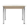 Стол Айсберг-мини PL 960(1260)*600, ЛДСП Дуб мол., пластик Бежевые цветы/нога ПРЯМ хром 4
