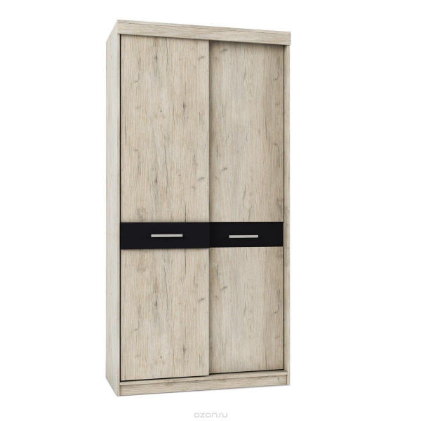 Шкаф-купе  Премьера 2-х дверн.